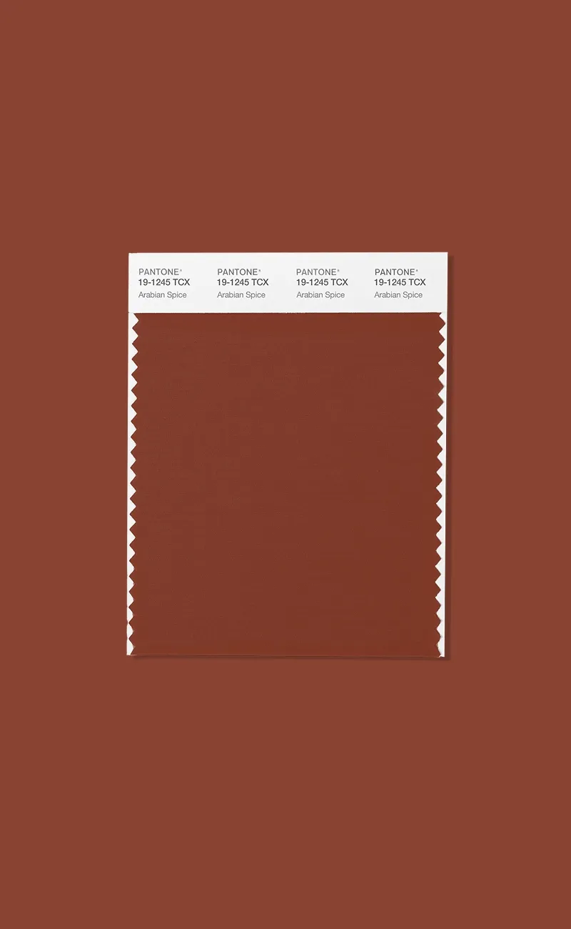 Pantone предсказал цвета сезона осень-зима 2026 (фото 2)