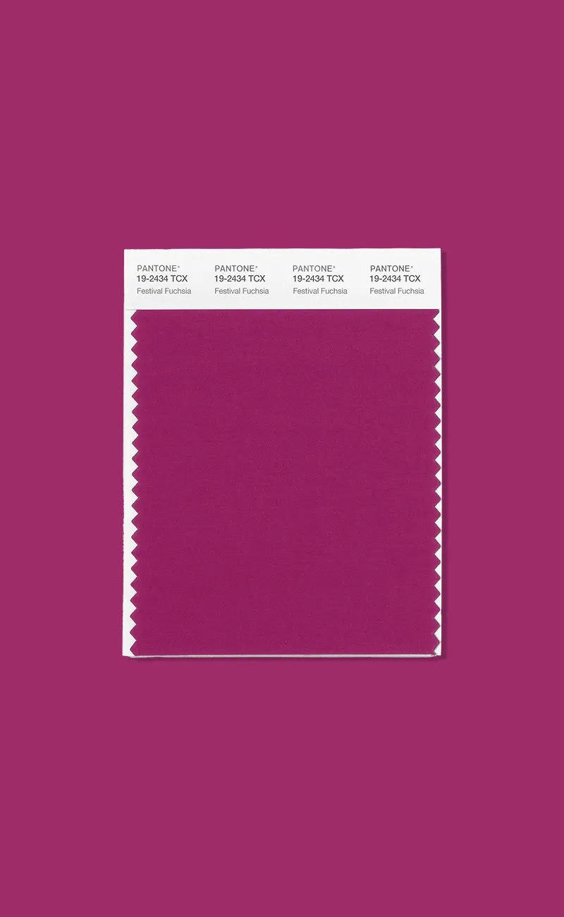 Pantone предсказал цвета сезона осень-зима 2026 (фото 3)