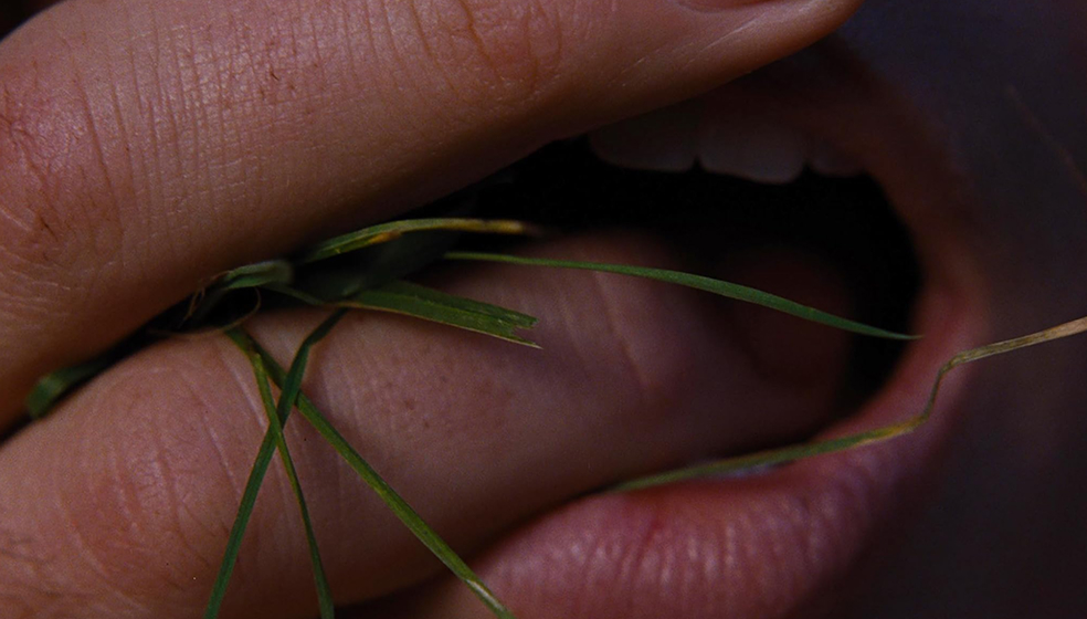 «Грозовой перевал»: 5 причин посмотреть самый горячий фильм сезона с Марго Робби и Джейкобом Элорди (фото 9)