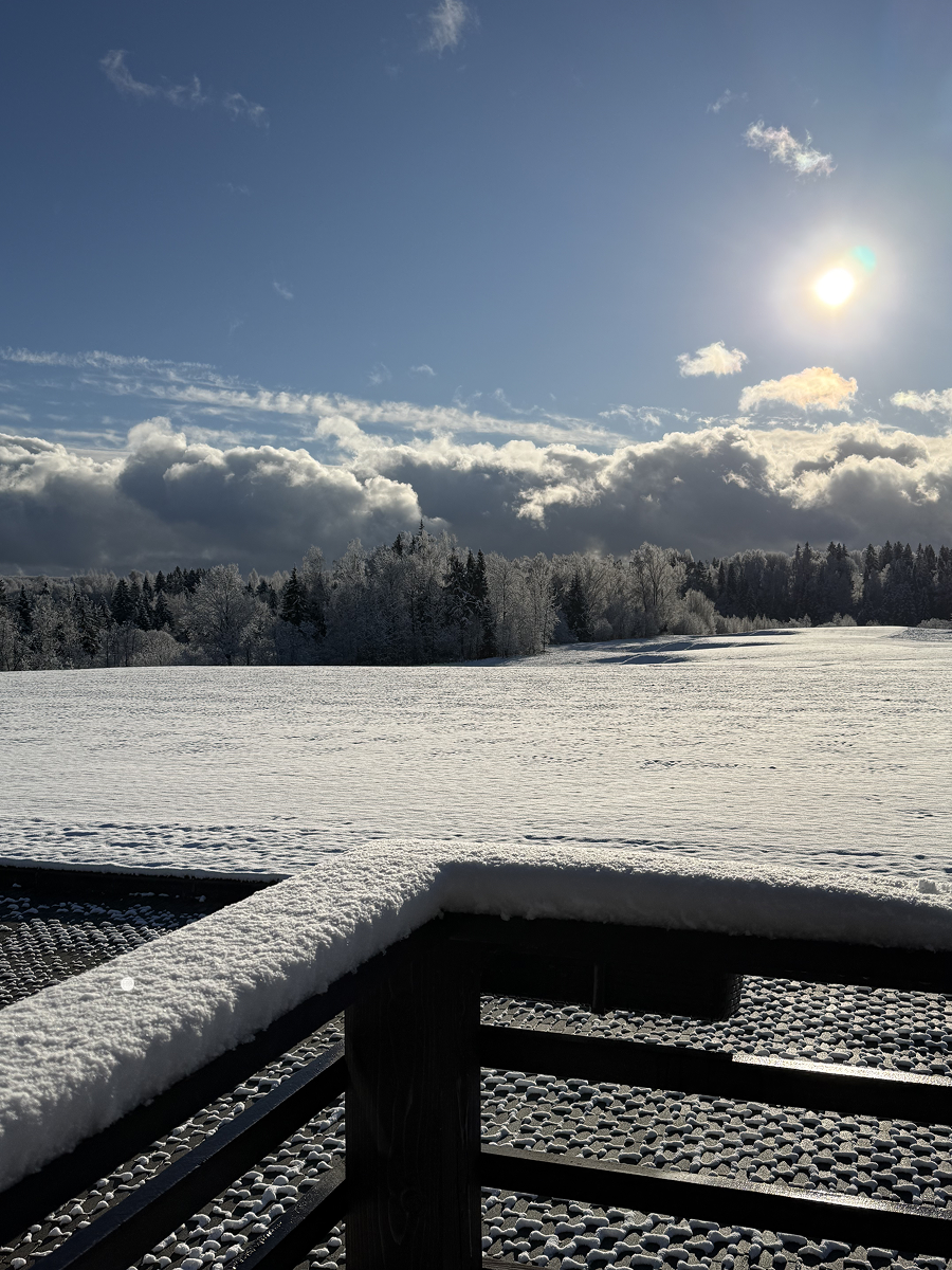 В отеле Forest Hills подготовили специальное предложение к Масленице (фото 9)