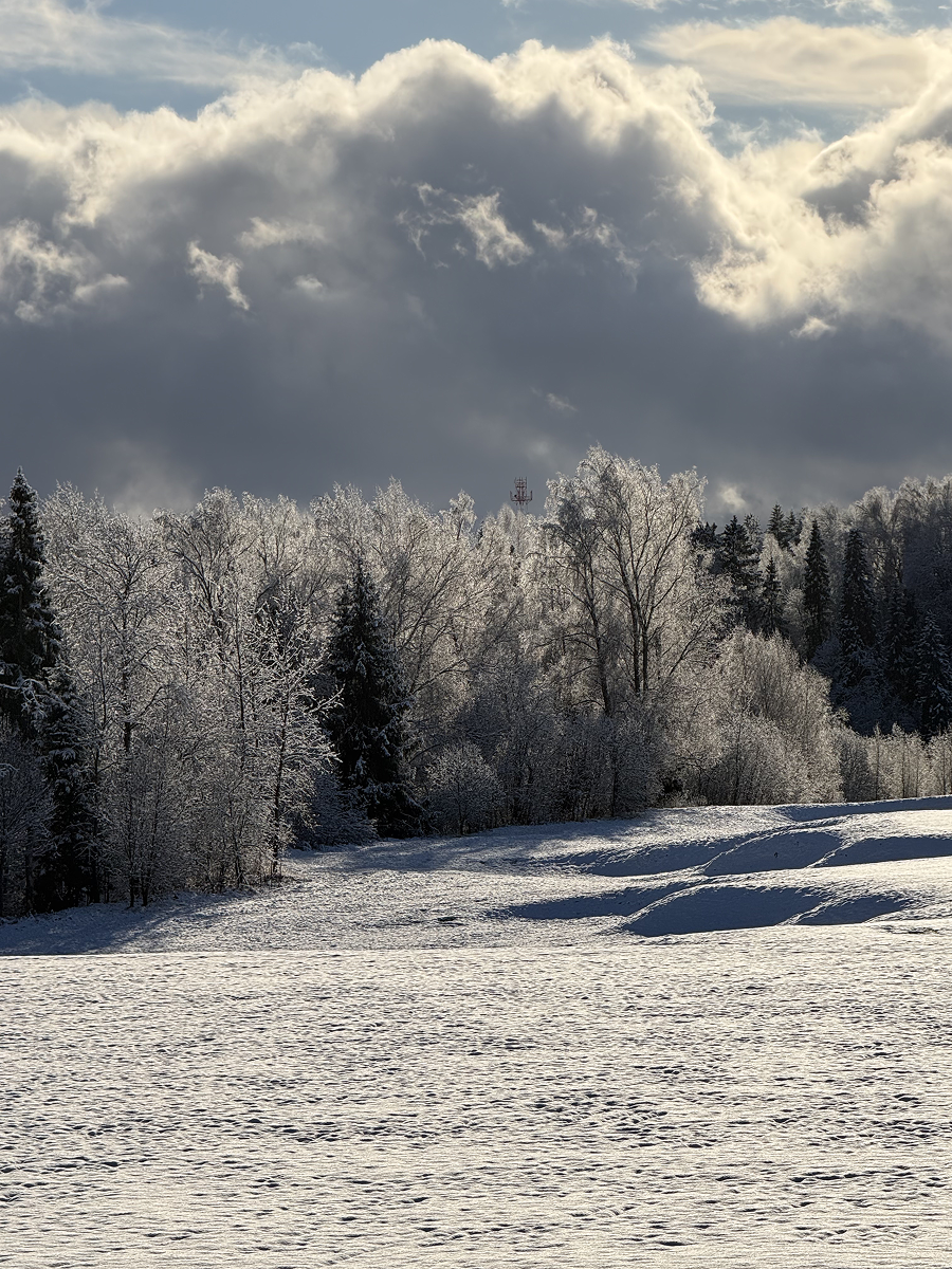 В отеле Forest Hills подготовили специальное предложение к Масленице (фото 7)
