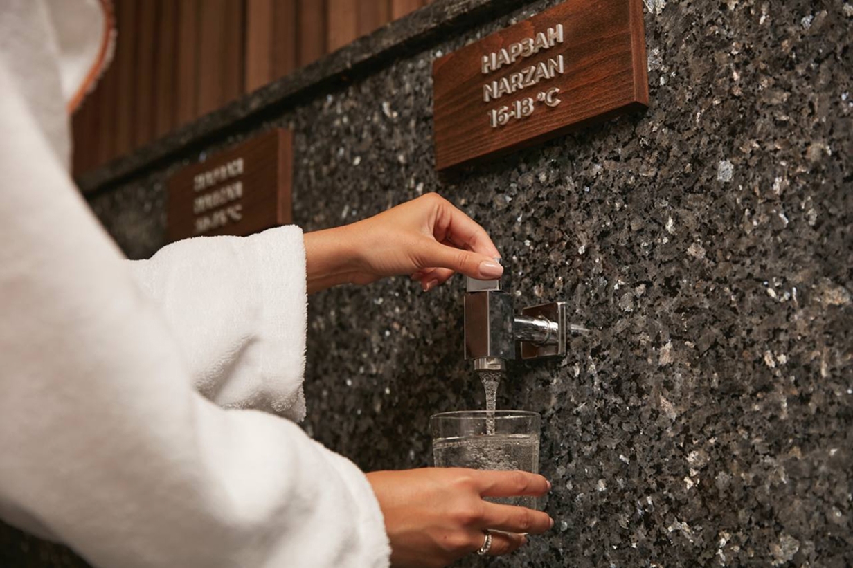 Детокс-программа среди гор Кавказа? Конечно, в медиспа-отеле MAYRVEDA в Кисловодске (фото 4)