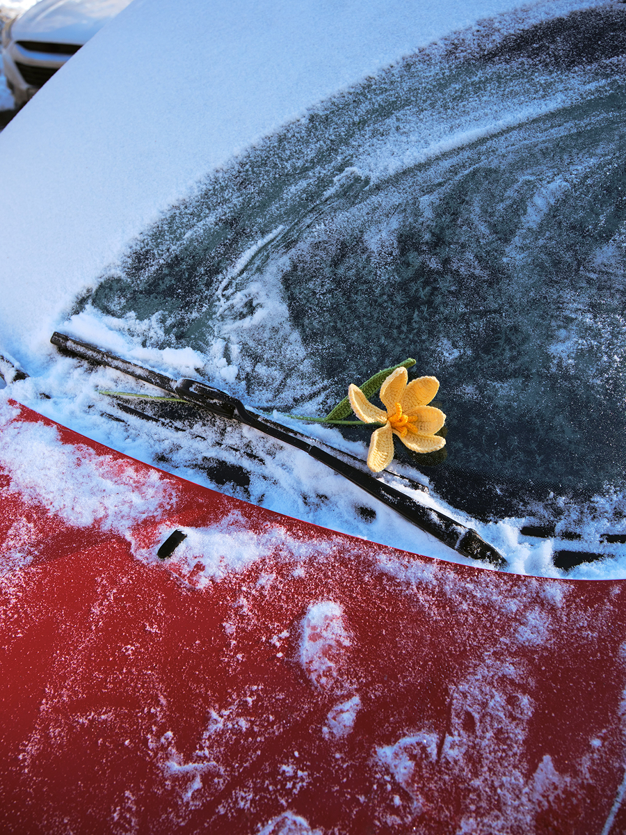 Весенние обновления Limé и Autentiments: что нового в коллекциях локальных брендов (фото 45)