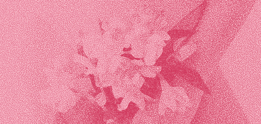 Я только спросить: что такое бартолиновы железы и почему они важны для репродуктивной системы? (18+) (фото 3)