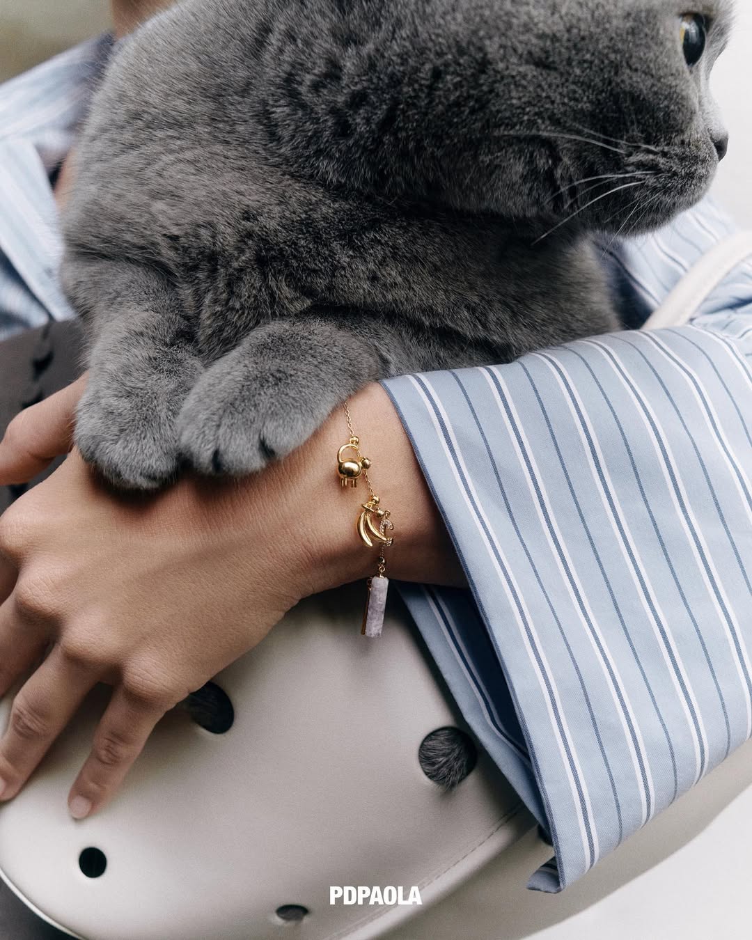 В России появился испанский ювелирный бренд Pdpaola (фото 3)