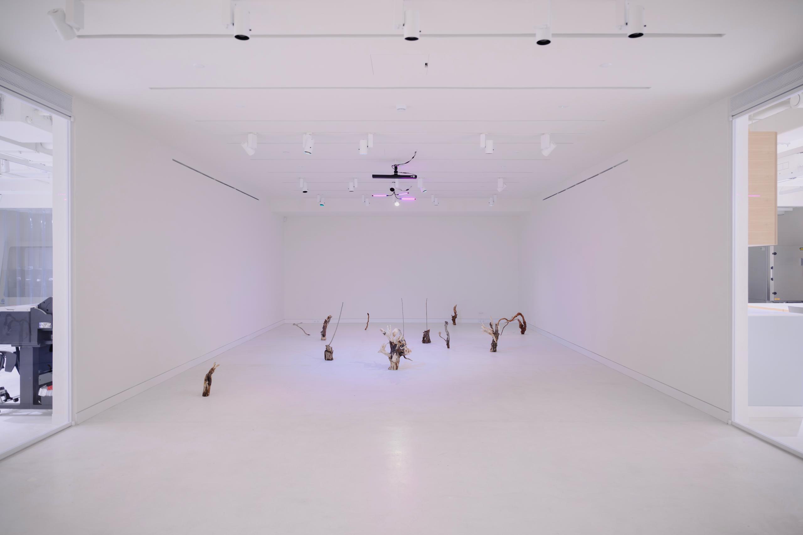 Город искусства и роскошных закатов: Анастасия Постригай — о том, зачем ехать в Самару (фото 4)