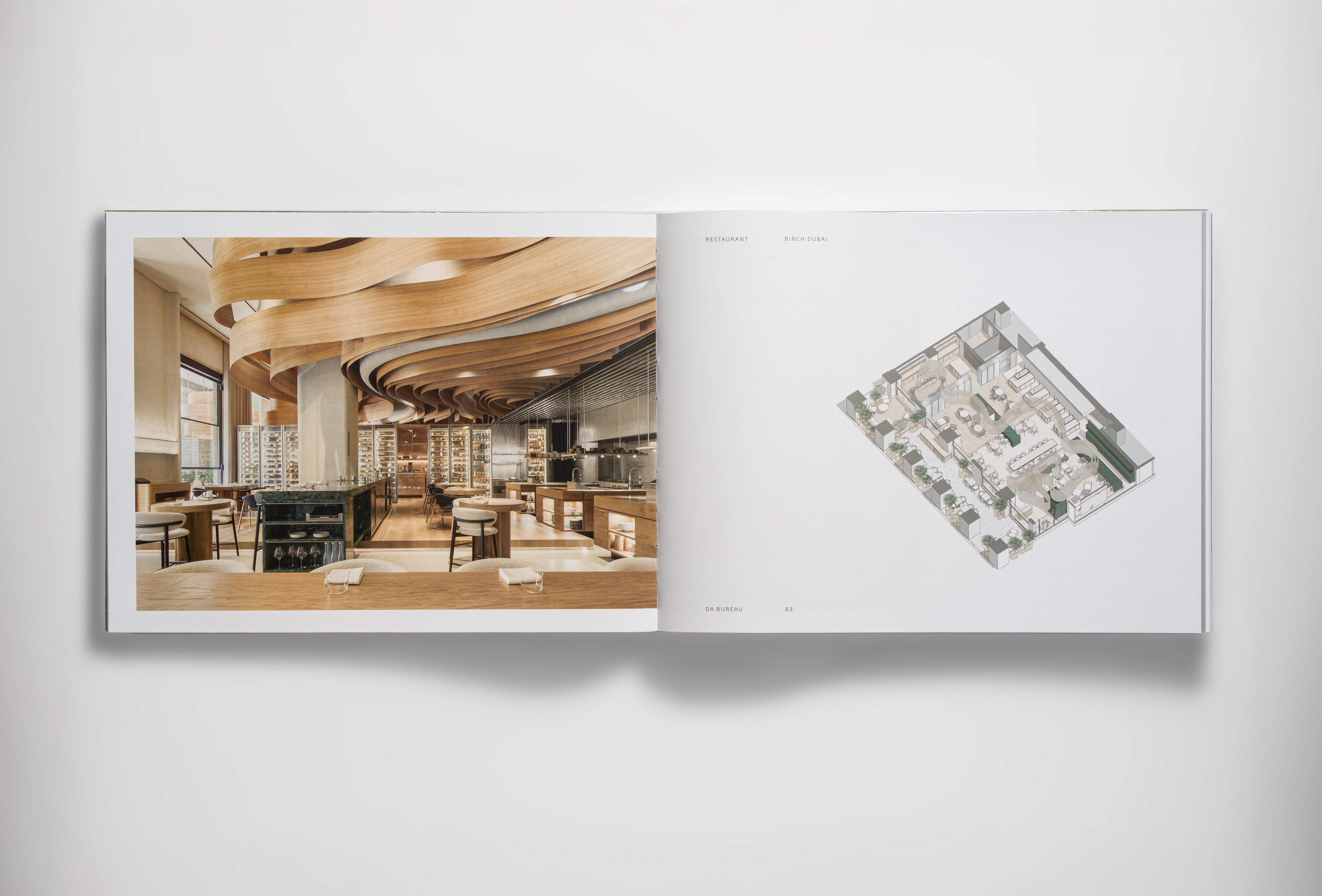 Архитектурное бюро DA BUREAU выпустило книгу (фото 4)