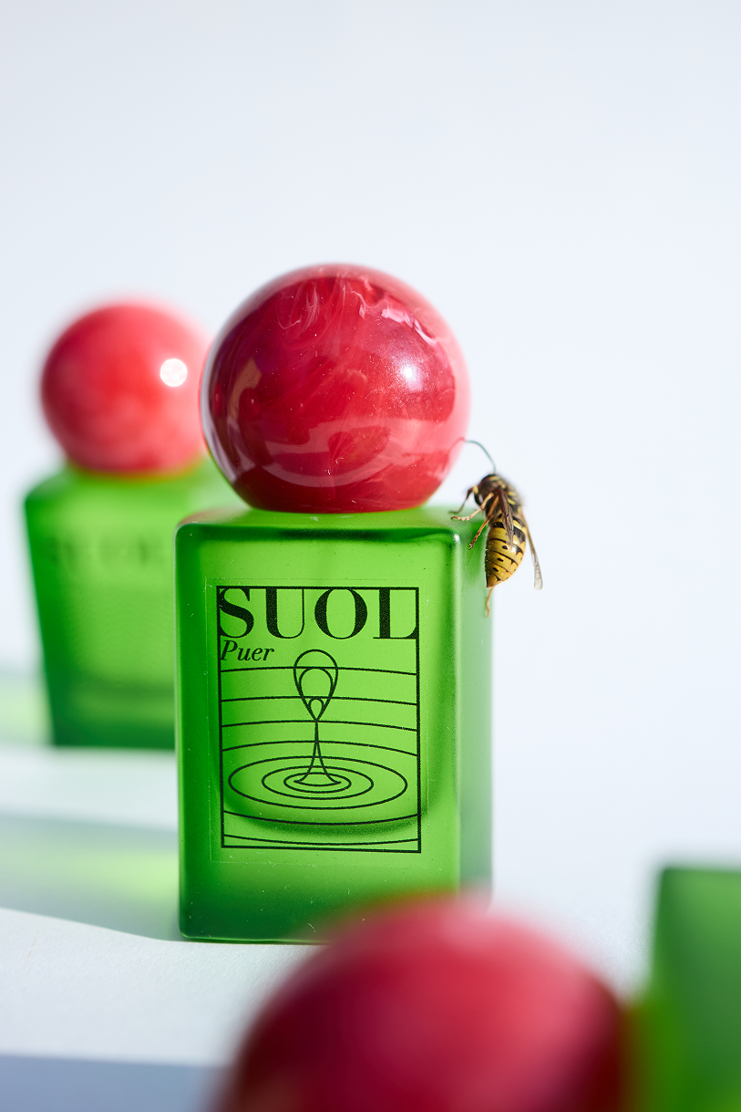 История локального бренда: как создают нордический парфюм Suol (фото 6)