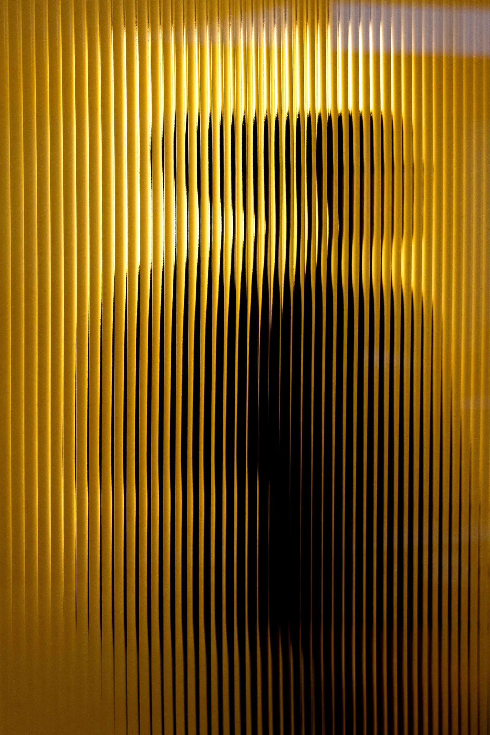 Сабато де Сарно откроет выставку в Милане (фото 4)