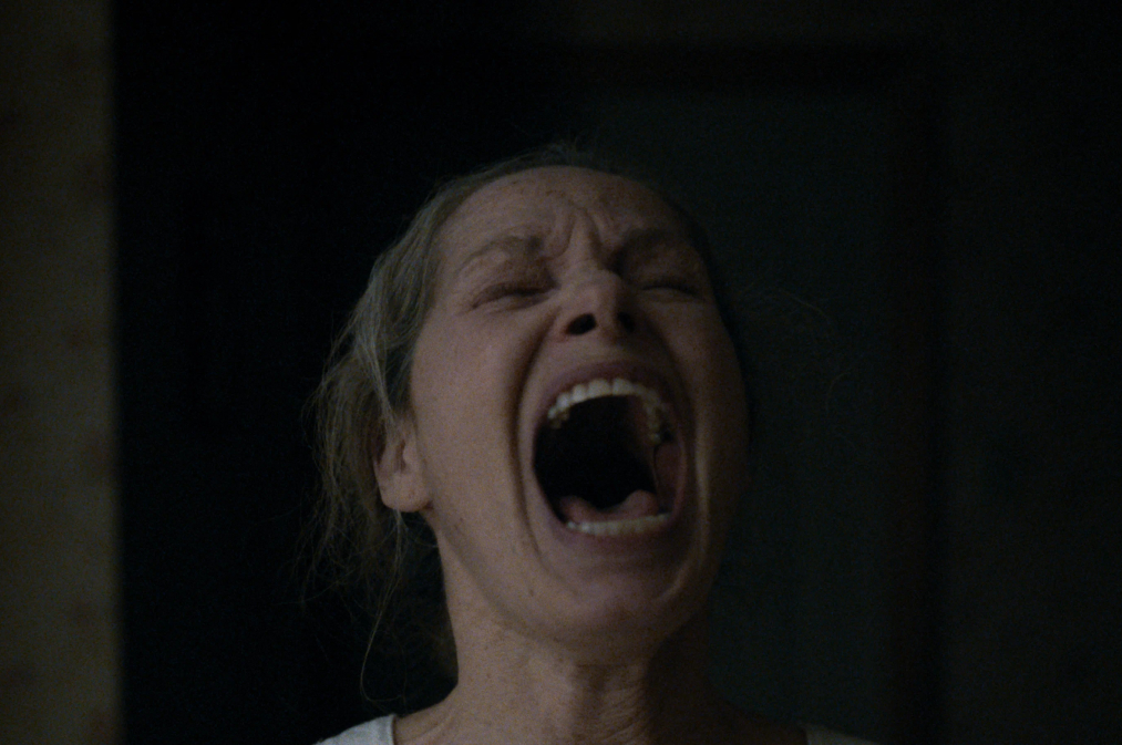 «Полутон»: 5 причин посмотреть новый жуткий хоррор от студии А24 (фото 6)