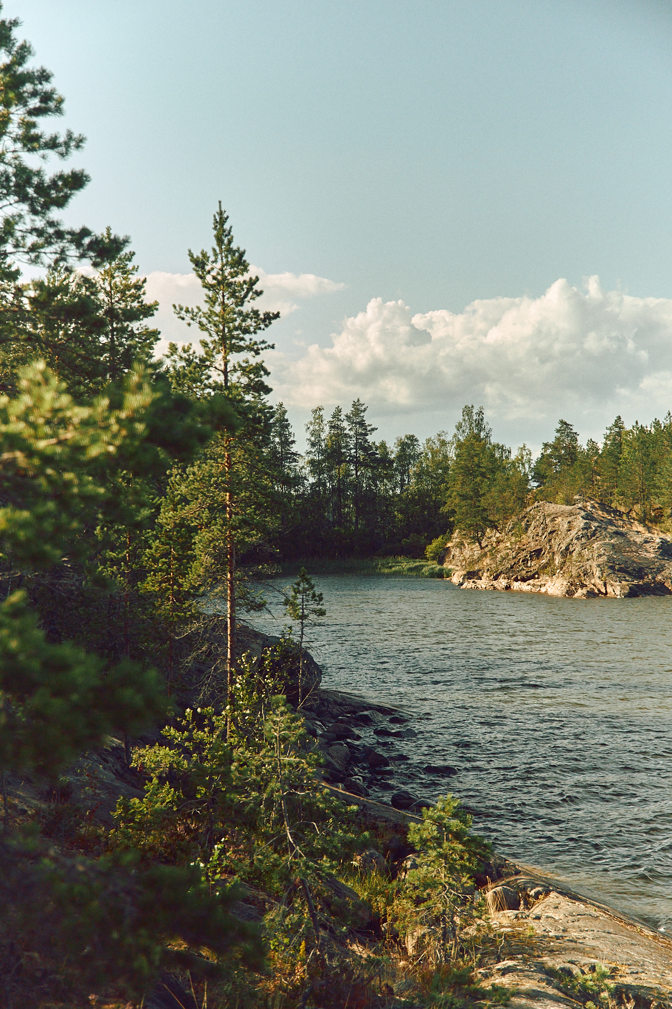 История локального бренда: как создают карельскую уходовую косметику Karjala (фото 17)