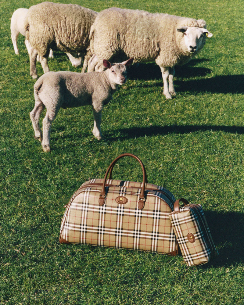 Burberry показал кадры кампейна Escape to the Countryside (фото 2)