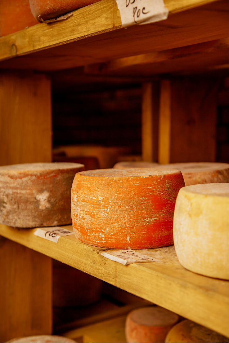 Где отдохнуть на природе и попробовать экологически чистые продукты? Вот 10 экоферм под Москвой (фото 1)