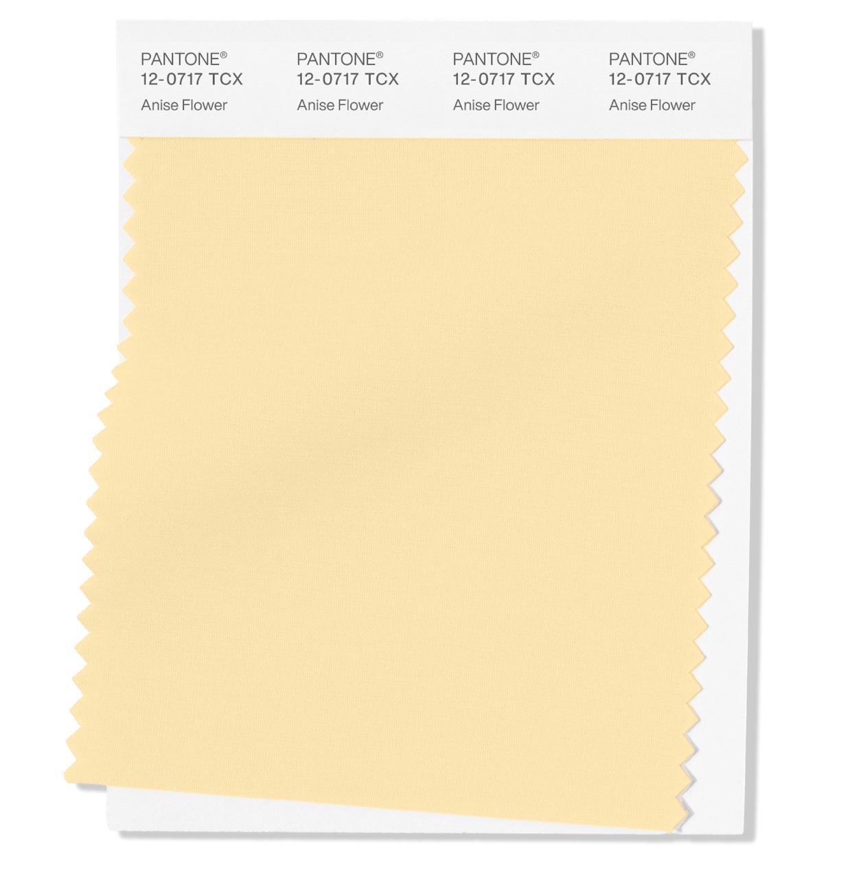 Pantone спрогнозировал главные оттенки Недели моды в Нью-Йорке (фото 10)