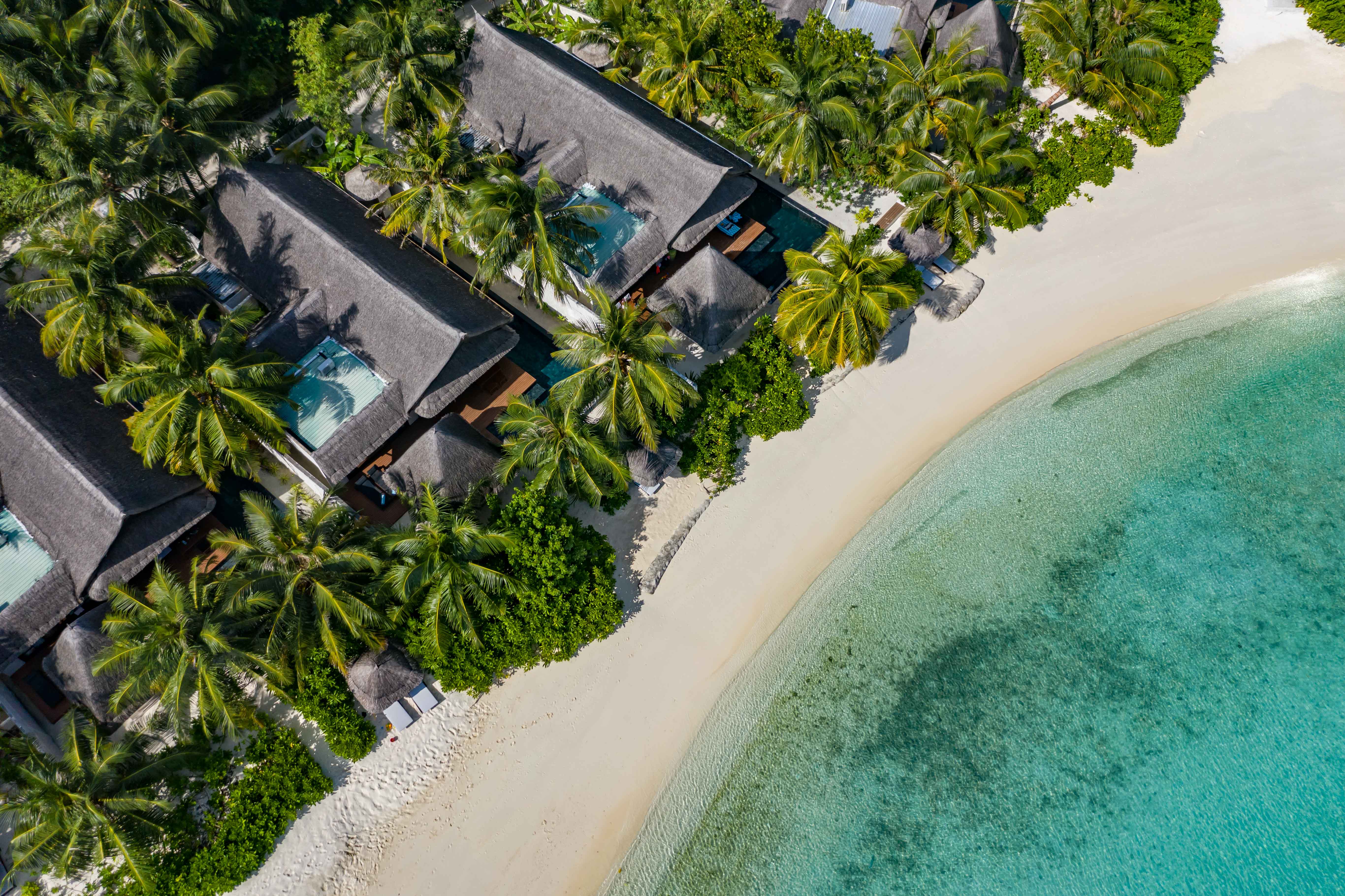 Остров, где все включено: как устроен отдых в Ozen Reserve Bolifushi (фото 5)