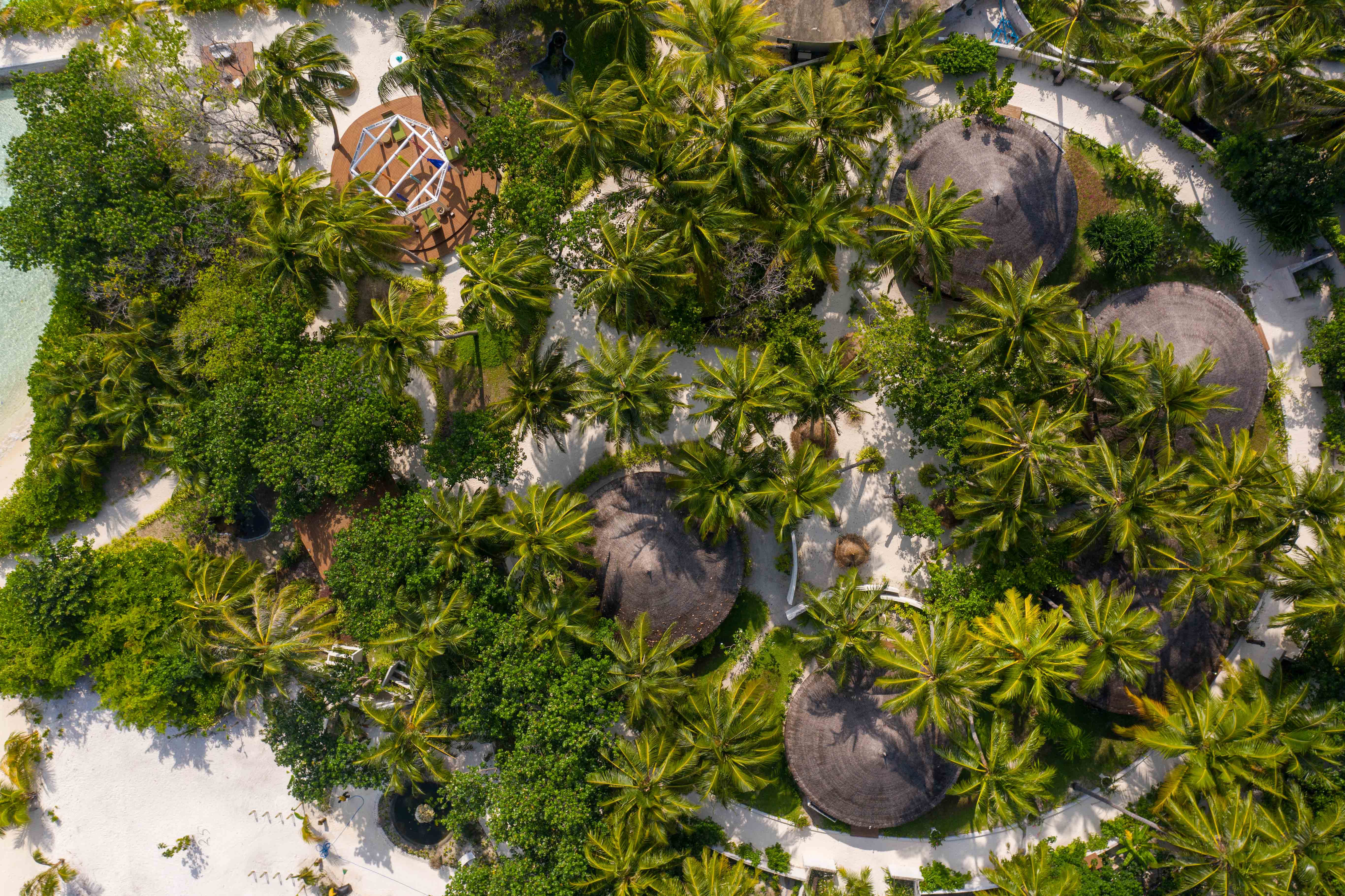 Остров, где все включено: как устроен отдых в Ozen Reserve Bolifushi (фото 15)