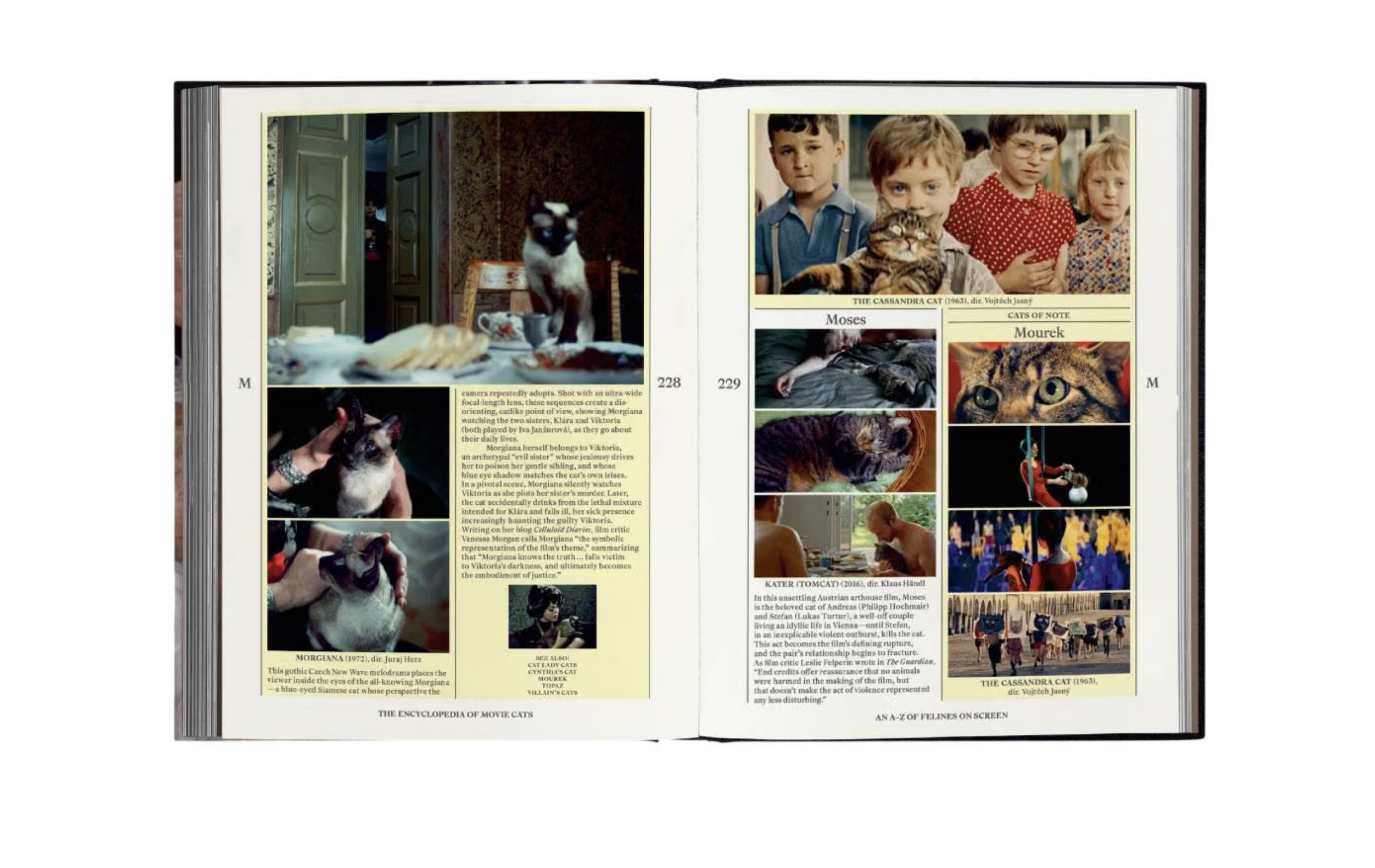 A24 выпустила «The Encyclopedia of Movie Cats» — энциклопедию кошек из кино (фото 4)
