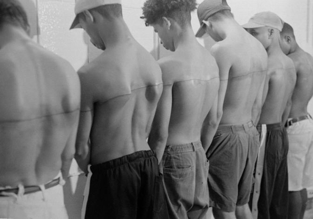 Выставка The New International, "Гараж" Арт-планы на выходные: 23—24 августа (фото 7)