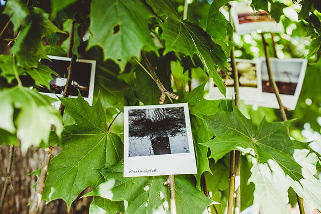 Восьмой день рождения "Русского пионера" в Плесе (фото 1)