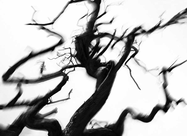 Запретный город. 2011. Алюминиевая смесь (Дибонд), фотография Главные выставки 2014 года: Россия (фото 12)