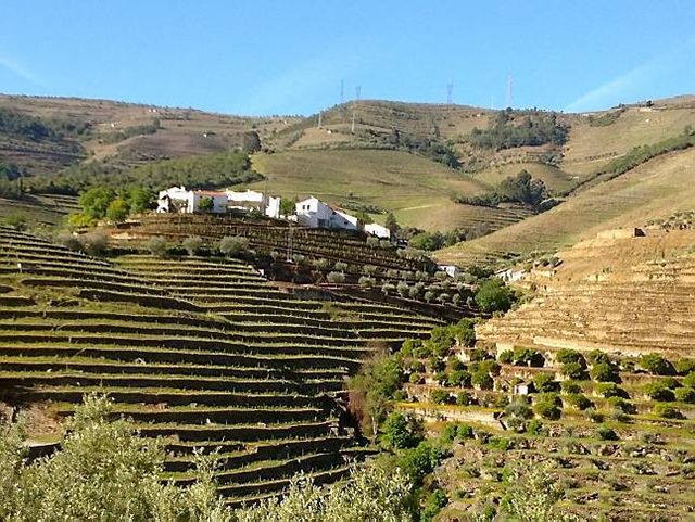 Отели Six Senses вскоре появятся в Европе (фото 1)