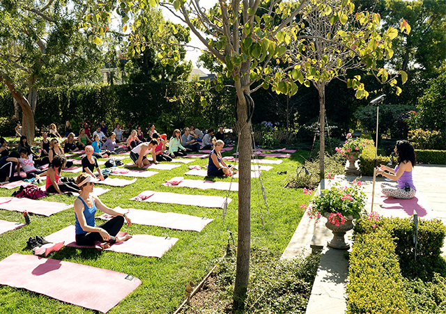 Лето пришло: в московских парках начались занятия по йоге (фото 1)