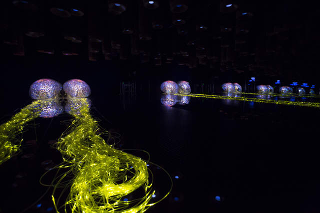 Инсталляции обновленного Swarovski Crystal Worlds (фото 4)