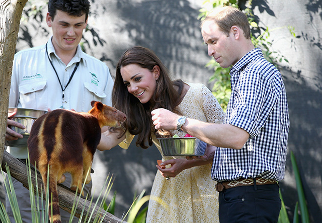 Кейт Миддлтон и принц Уильям в зоопарке Taronga Zoo (фото 3)