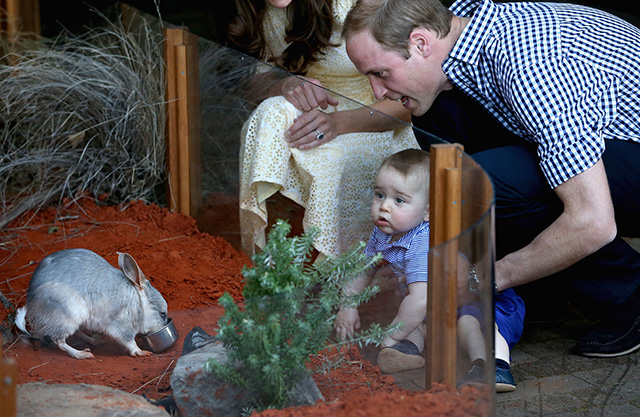 Кейт Миддлтон и принц Уильям в зоопарке Taronga Zoo (фото 5)