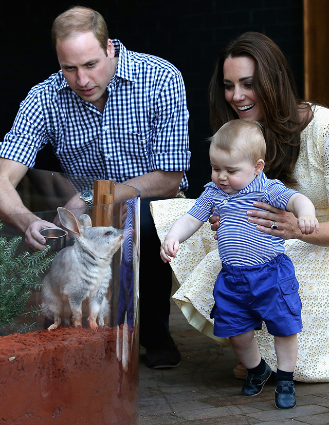 Кейт Миддлтон и принц Уильям в зоопарке Taronga Zoo (фото 4)