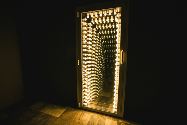 Выставка Lexus Hybrid Art 2014: "гибридное" искусство на ВДНХ (фото 8)