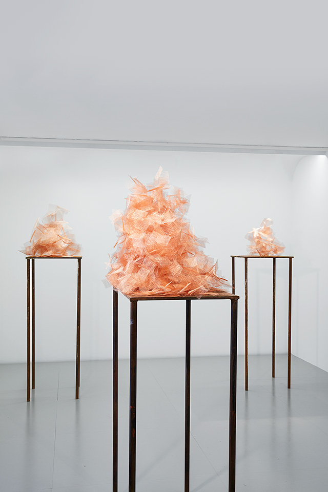 Экспозиция Элис Андерсон в Espace Louis Vuitton Paris (фото 1)