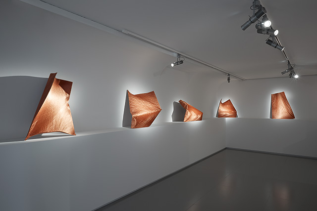 Экспозиция Элис Андерсон в Espace Louis Vuitton Paris (фото 7)