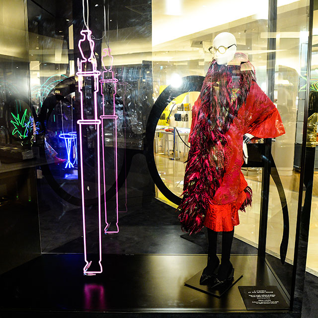 Открытие выставки Айрис Апфель в Париже (фото 6)