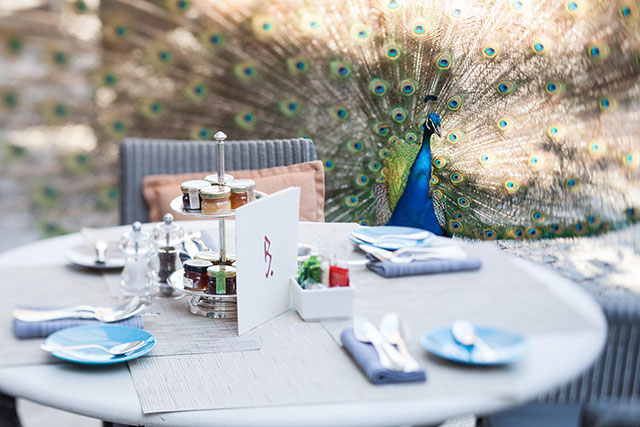 Полвека популярности: что стало с легендарным отелем в Сен-Тропе (фото 11)