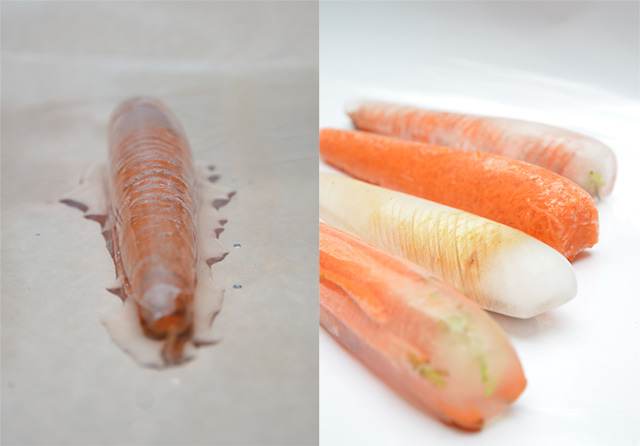 Гастрономическая криотерапия: домашняя еда за 5 минут (фото 1)