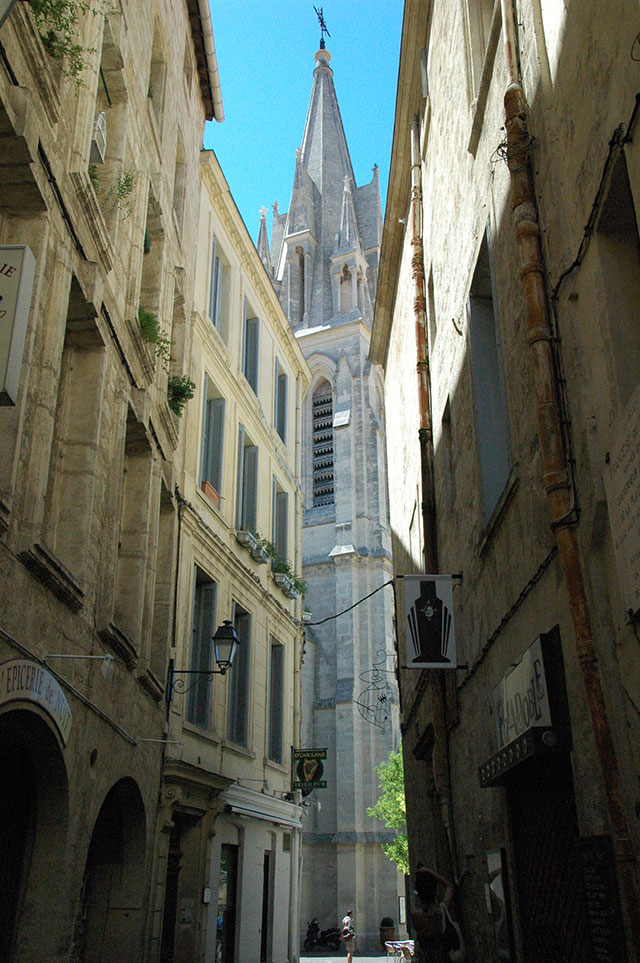 Монпелье: южная жемчужина Франции (фото 8)