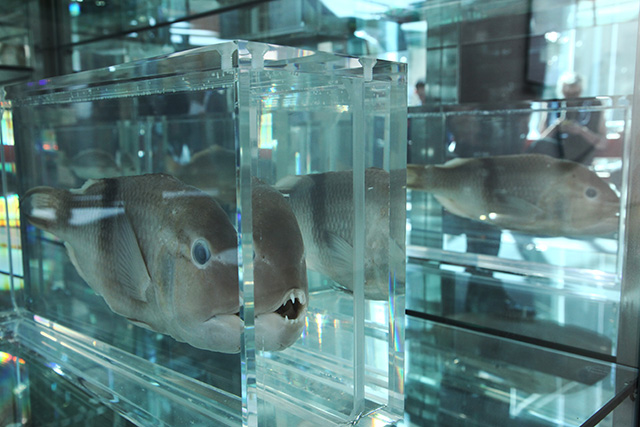 White Cube Art Basel 2015: куда идти и что смотреть (фото 9)