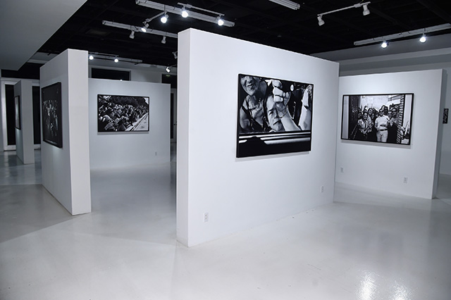 Выставка фотографий Ленни Кравица в Майами (фото 5)