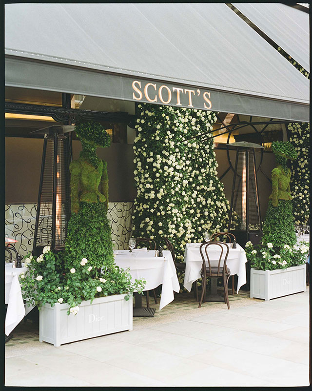 Dior украсит террасу Scott's Restaurant и примет участие в выставке садов Челси (фото 3)