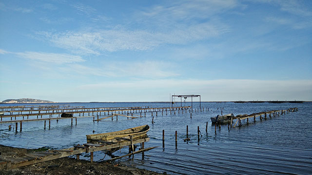 Монпелье: южная жемчужина Франции (фото 11)