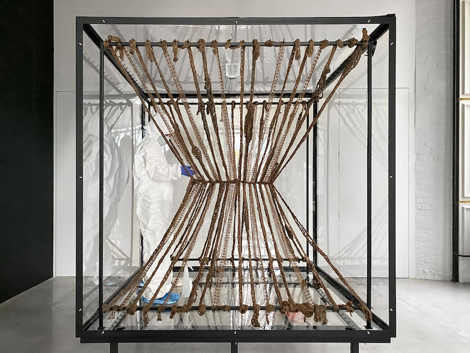 В Orekhov Gallery открылась биоарт-выставка «Лиформ / Живые мегаструктуры» (фото 1)