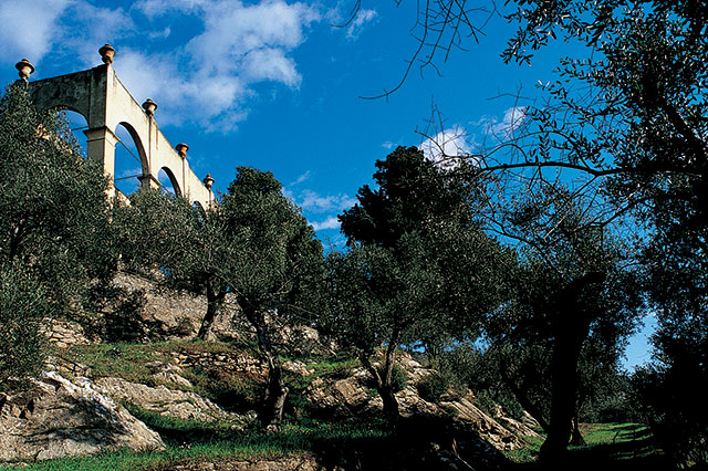 Зачем ехать в Bagni di Pisa (фото 11)