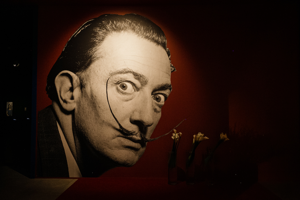 Ксения Собчак, Михаил Куснирович и другие гости вернисажа «Сальвадор Дали. Магическое искусство» (фото 1)