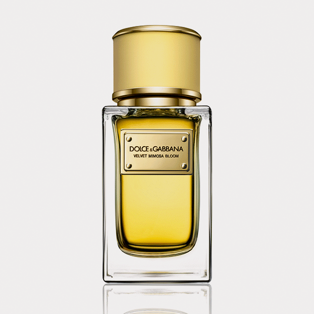 Mimosa Bloom и Exotic Leather: новые ароматы Dolce & Gabbana Mimosa Bloom и Exotic Leather: новые ароматы Dolce & Gabbana