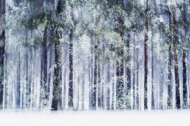 "Симбиозис": первая выставка Кристофера Реландера в Москве (фото 3)