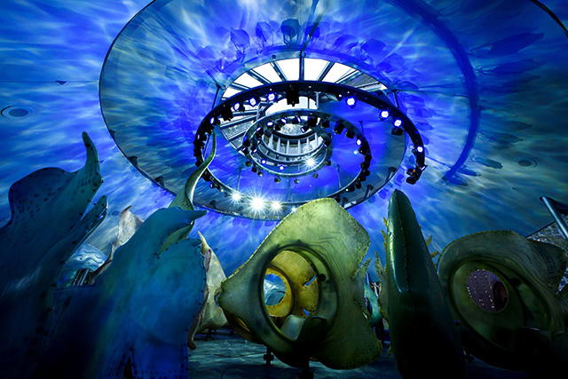 "Подводная" карусель в парке Манхэттена (фото 1)