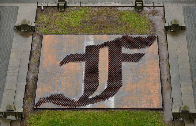 Металлическая трава от Ай Вэйвэя на биеннале в Ванкувере (фото 1)