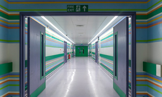 Бриджет Райли расписала больницу в Лондоне (фото 3)