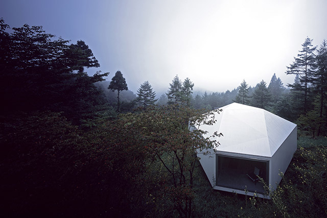 Частная японская галерея в лесу (фото 1)